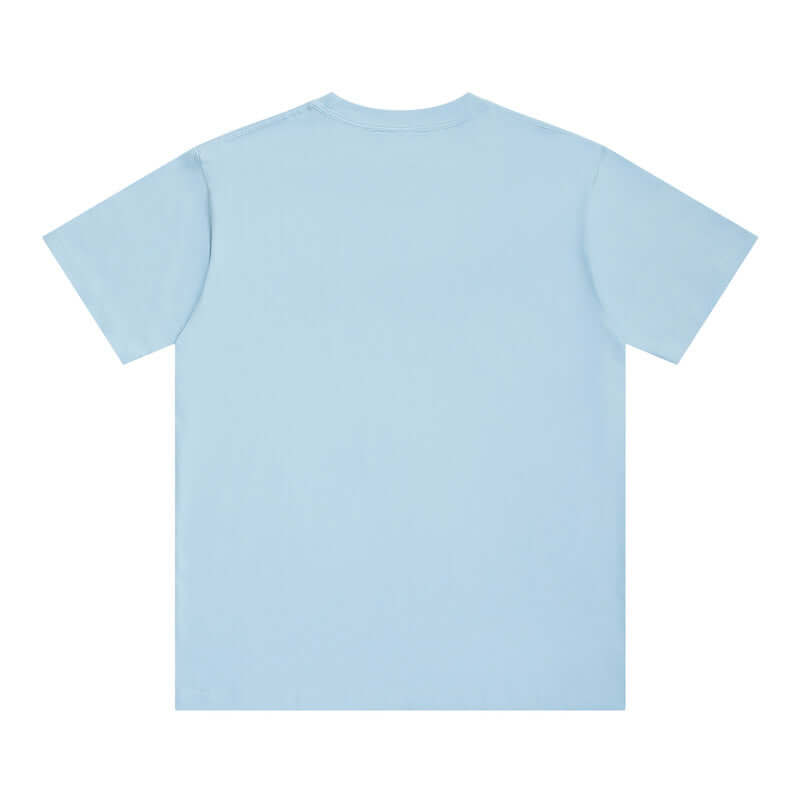 Sky blue 16s crew neck tee back - 250g heavyweight OEM blank shirt