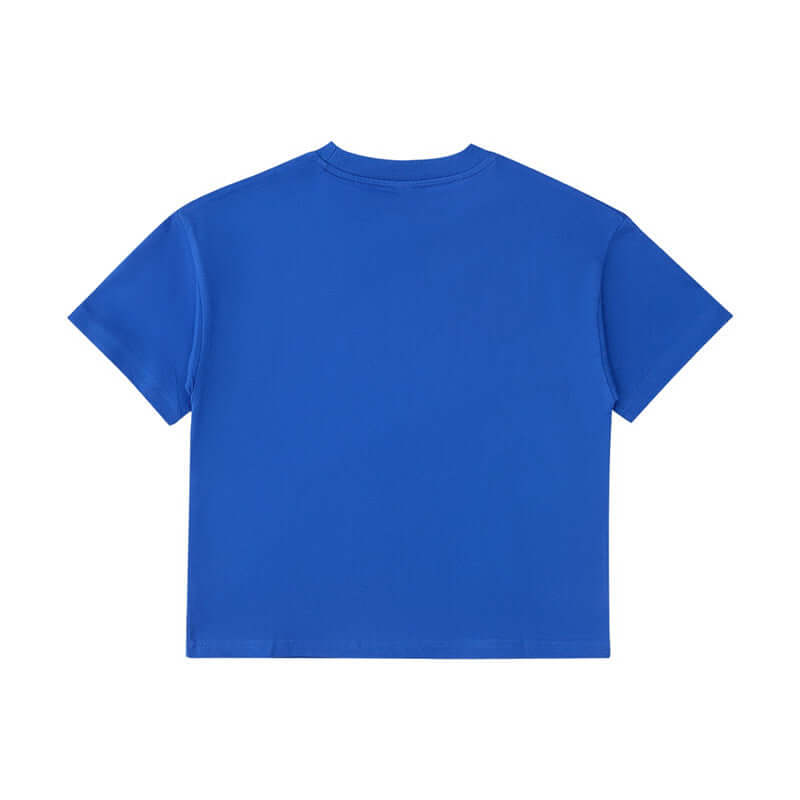 Royal Blue OEM apparel back | Streetwear manufacturing sample